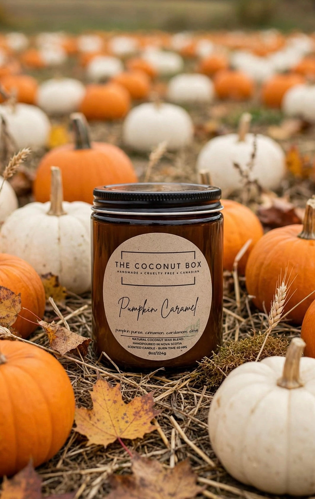 Pumpkin Caramel