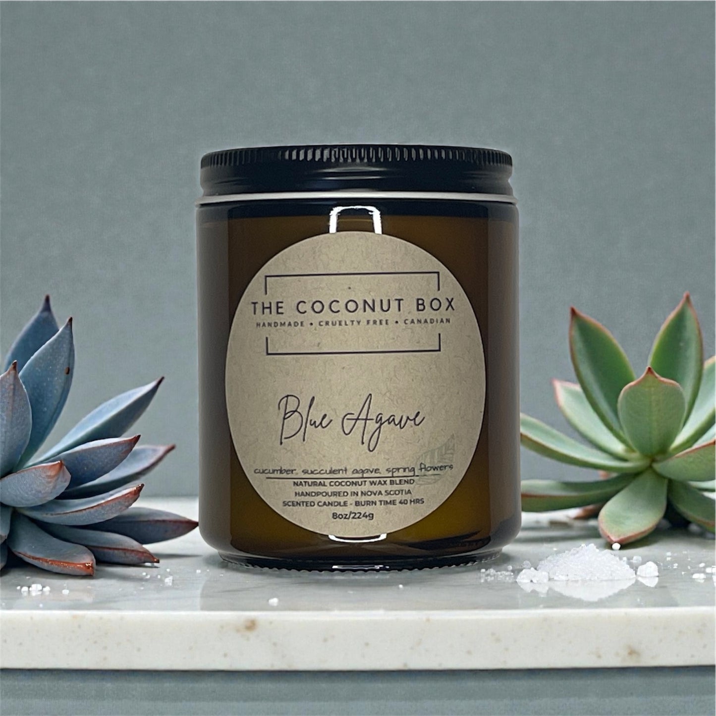 Blue Agave